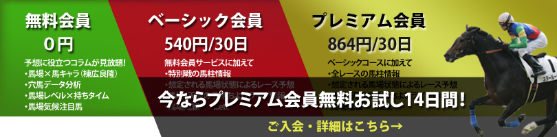 ����ŷ�������񥳡�������