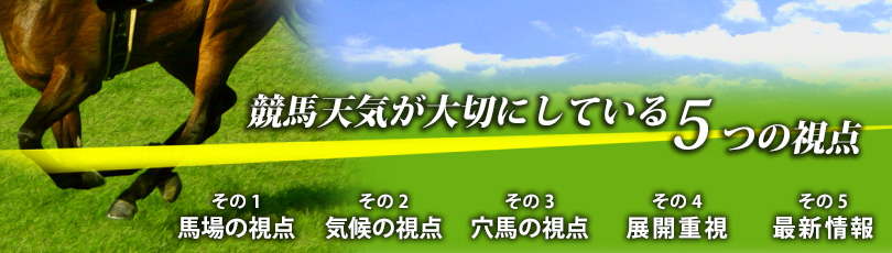 ����ŷ�������ڤˤ��Ƥ���ͽ�ۤλ���